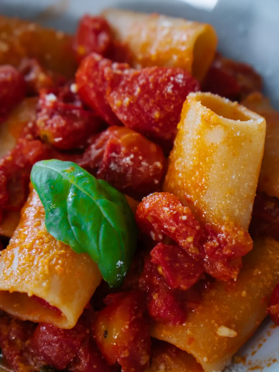 Paccheri al pomodoro e basilico